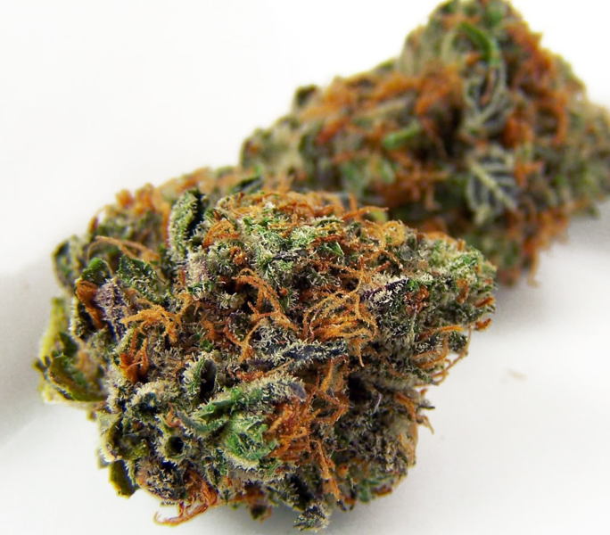 Urban Poison Sativa Strain LIWTS