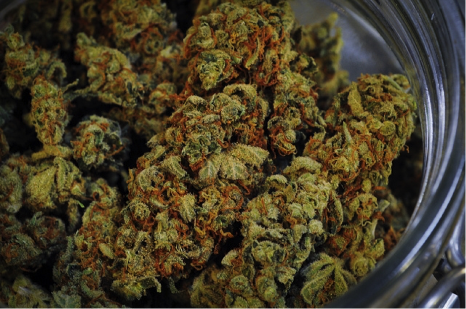 Cannabis buds in a bowl