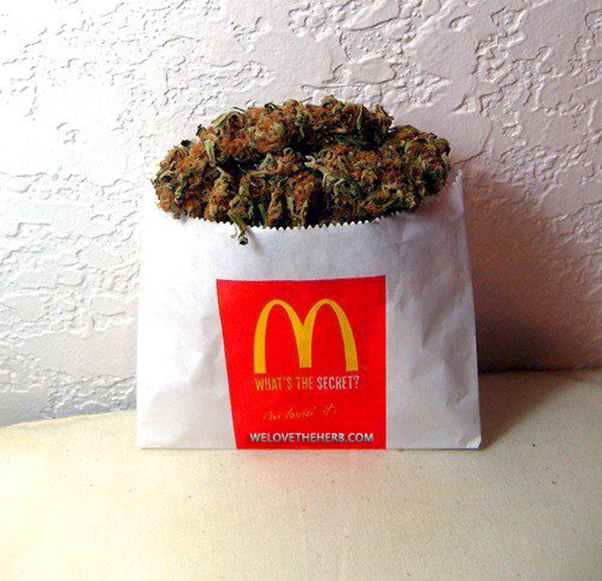 35 Signs You’re Way More Stoned Than You Thought