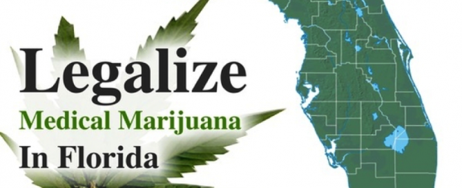 Legalize medical marijuana Florida poster