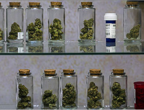 Medical Marijuana – How Does it Work as a Medicine?