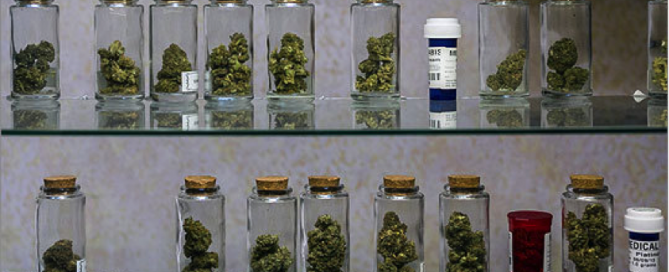 Medical Marijuana Dispensary