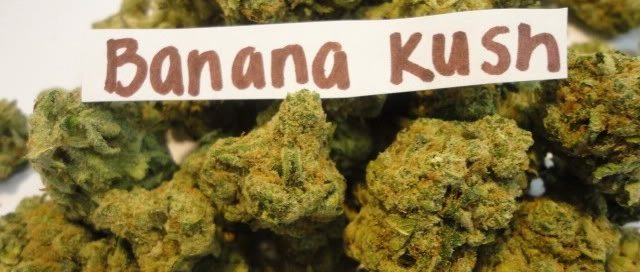 Banana Kush buds