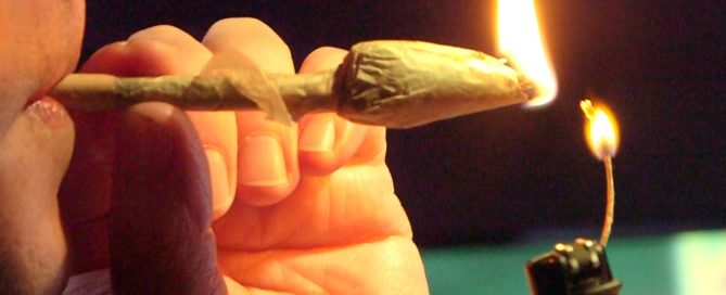 Dutch Tulip Joint