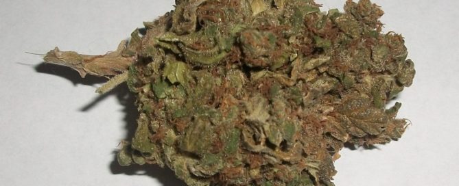 Afghan Kush Strain Review