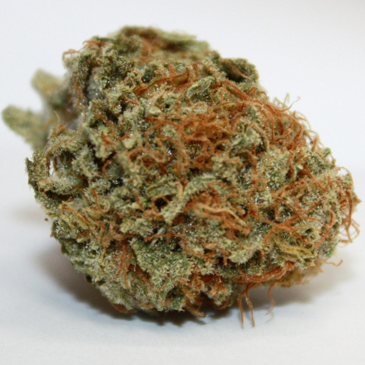 Kush Berry Indica Strain Review Legalize it. We Think So