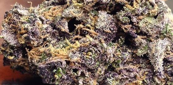 Purple Urkle strain review