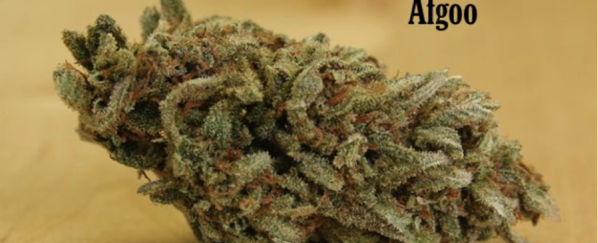 Afgoo Afgooey Strain