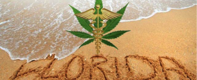Florida cannabis MMJ legalization
