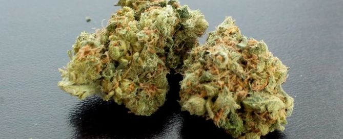 Rocklock DNA Genetics strain review