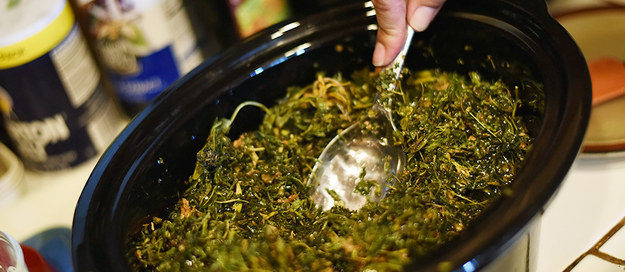 Infusing cannabis butter in a crockpot