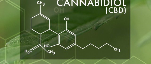 CBD Oil