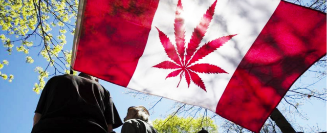 Canada Cannabis Policy
