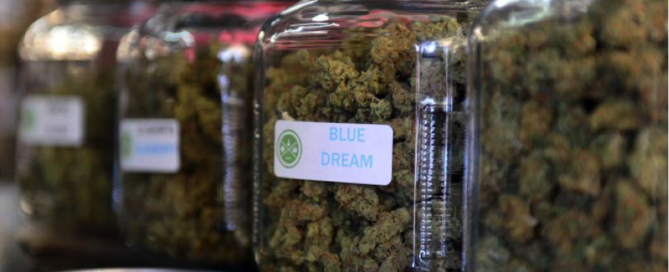 Massachusetts cannabis dispensary