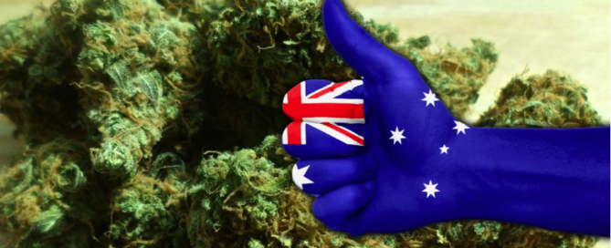 Australia Medical Cannabis