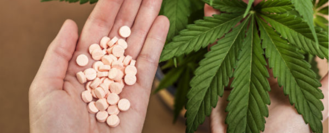 Cannabis can help with Opiod Addiction