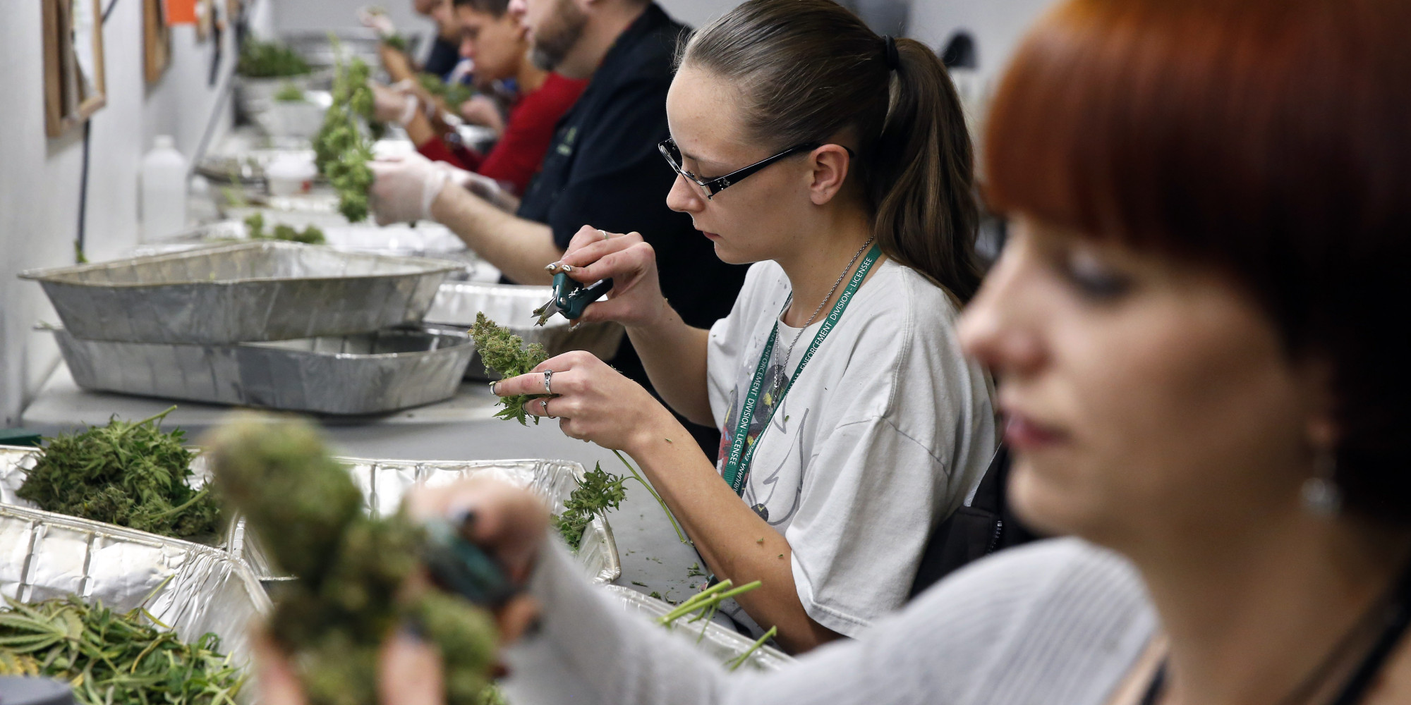 https://www.liwts.org/cannabis/us-cannabis-job-creation-outpace-manufacturing-2020/