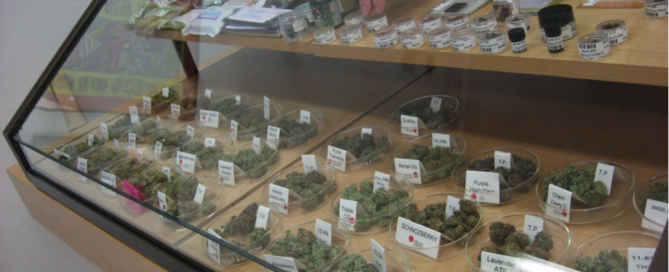 Oakland cannabis licences for locals only