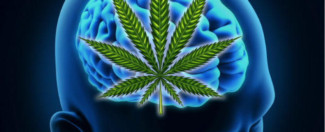 Can Cannabis Cure Alzheimer's