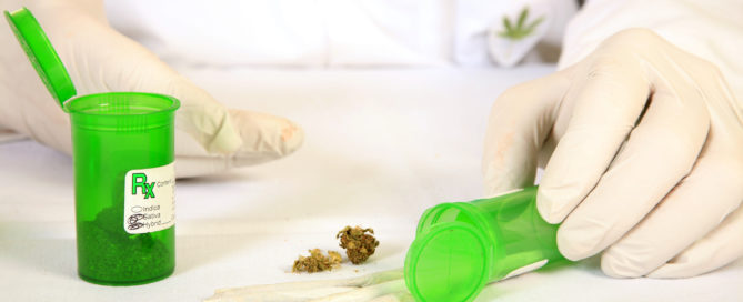 Cannabis pass a Drug Test