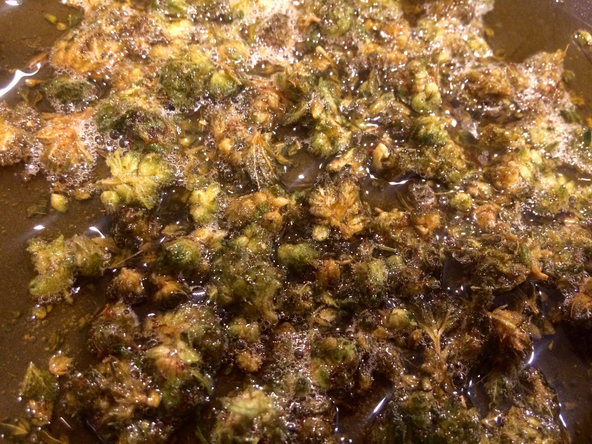 Cooking Bud for Bhang Recipe