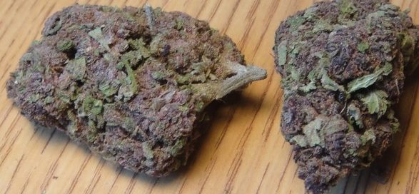 Purple Cream strain cannabis
