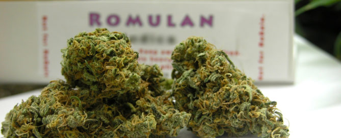 Romulan Strain Review