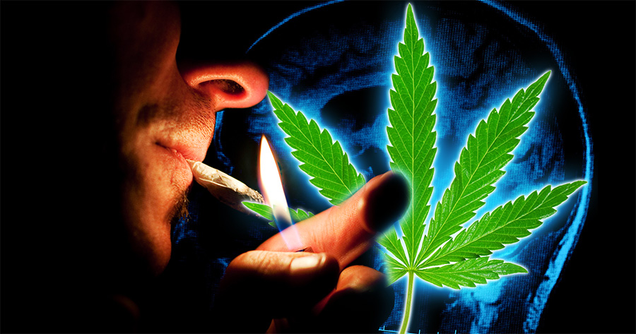 cannabis and schizophrenia does cannabis cause schizophrenia