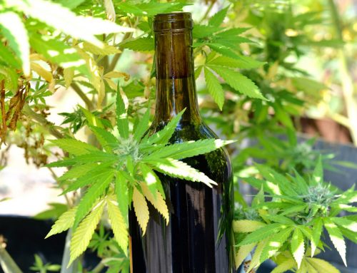 Fermented Cannabis: Whipping Up Some Weed Wine