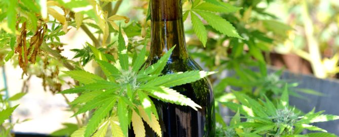 Weed Wine Recipe