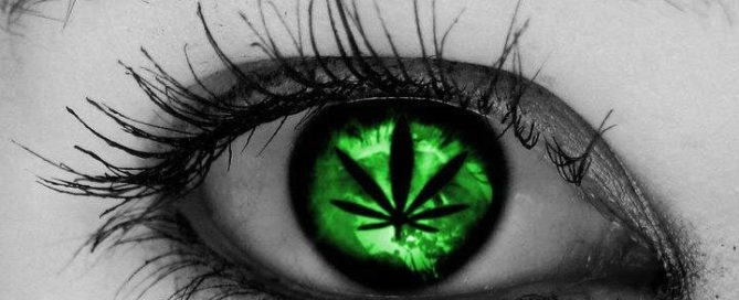 Cannabis and Glaucoma Is It an Effective Treatment