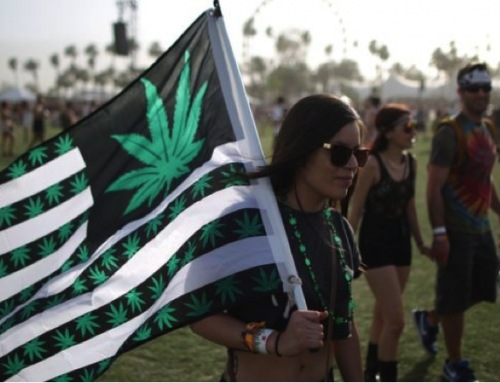 Legalize Cannabis a Beginners Guide to Activism