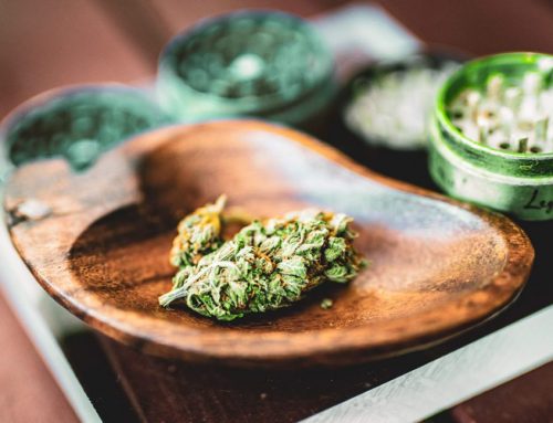 Can Cannabis Really Help You Lose Weight?
