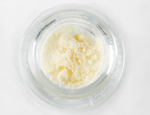 Everything You Need to Know About CBD Isolate